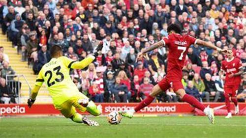 Ultimate Guide to MX Sports Bet